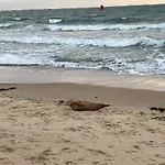 Vakantiewoning Aan Duinen En Zee In Dishoek