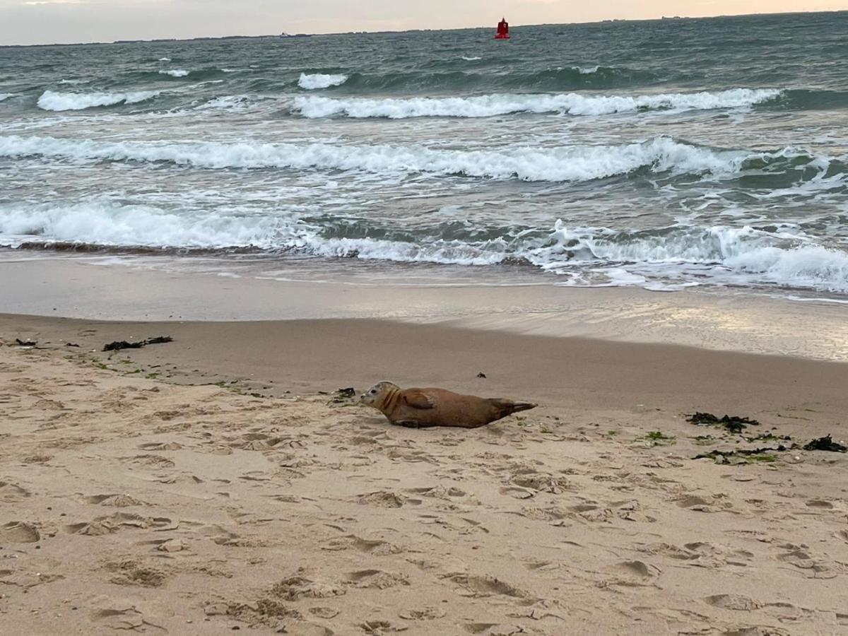 Vakantiewoning Aan Duinen En Zee In * Dishoek